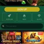 Play 100 percent free Ports On the web without Register